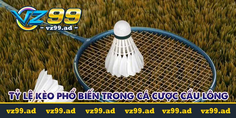 Cá cược cầu lông là gì? Tỷ lệ kèo cược dễ chơi dễ trúng 10 Tỷ lệ kèo phổ biến trong cá cược cầu lông
