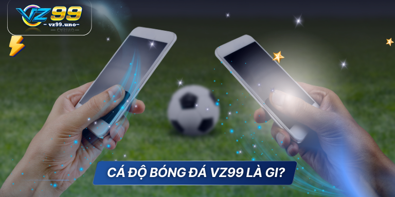 Những thuật ngữ cá độ bóng đá cho game thủ tổng hợp 2 Cá độ bóng đá VZ99 là gi